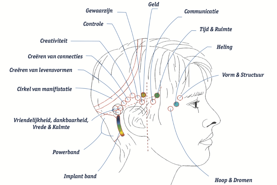 Access Bars Consciousness Hypnotherapie Just for You Beverwijk
